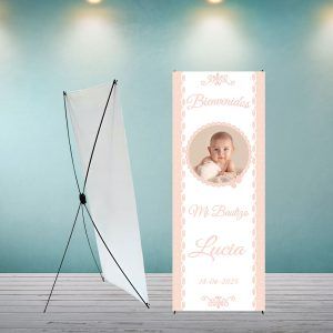 Bauitizo Rosa-Lunares