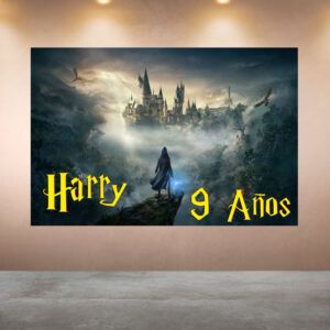 Cumpleaños Harry Potter
