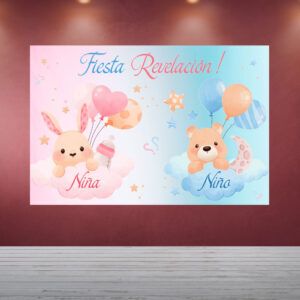 Decoración Baby Shower Revelación Nubes